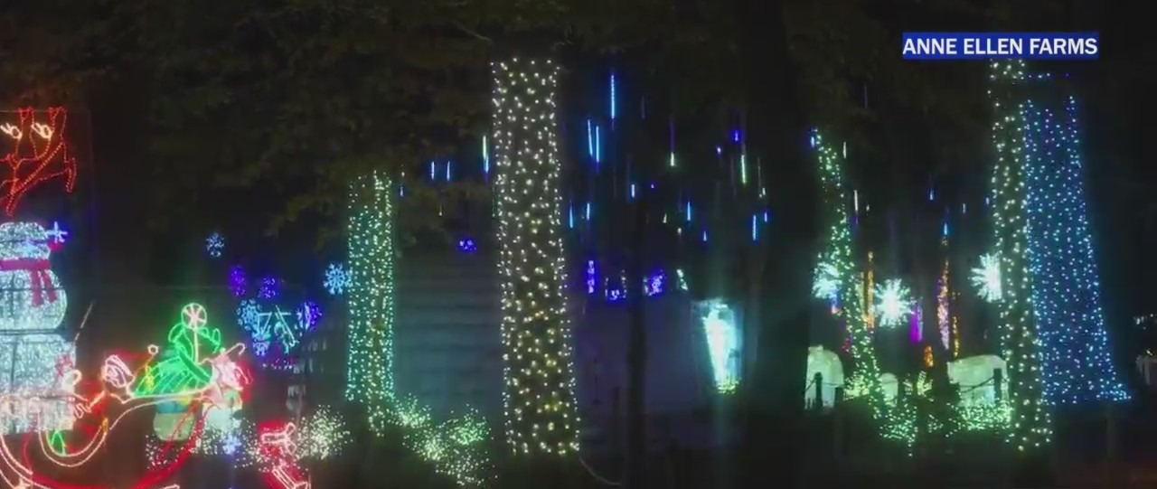 New Jersey Christmas tree farm offers a unique interactive holiday