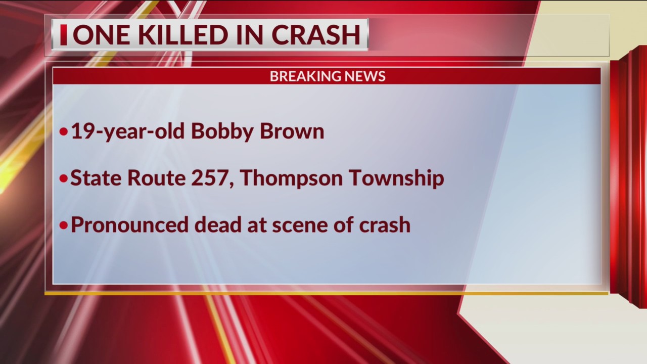 19-year-old dies after car crashes into tree in Delaware County – NBC4 ...