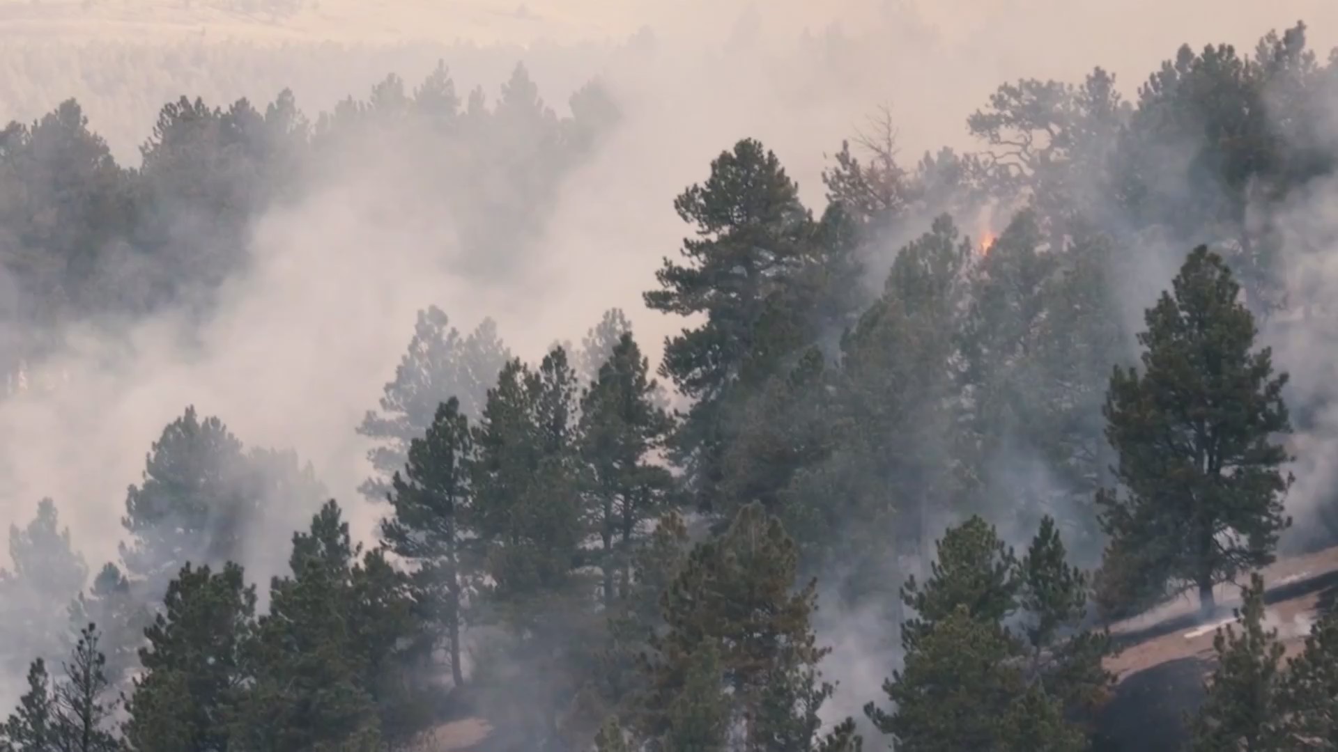 Boulder County Issues Burn Restrictions Amid High Winds Fox31 Denver