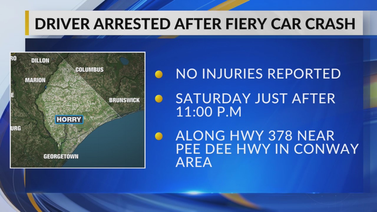 1 in Horry County police custody after vehicle catches fire in crash ...