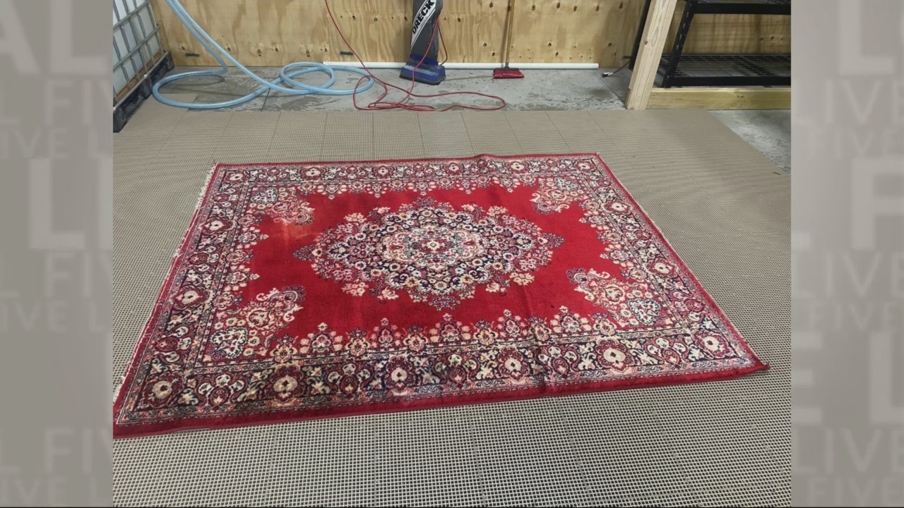 Carpet Cleaning WFRV Local 5 Green Bay, Appleton