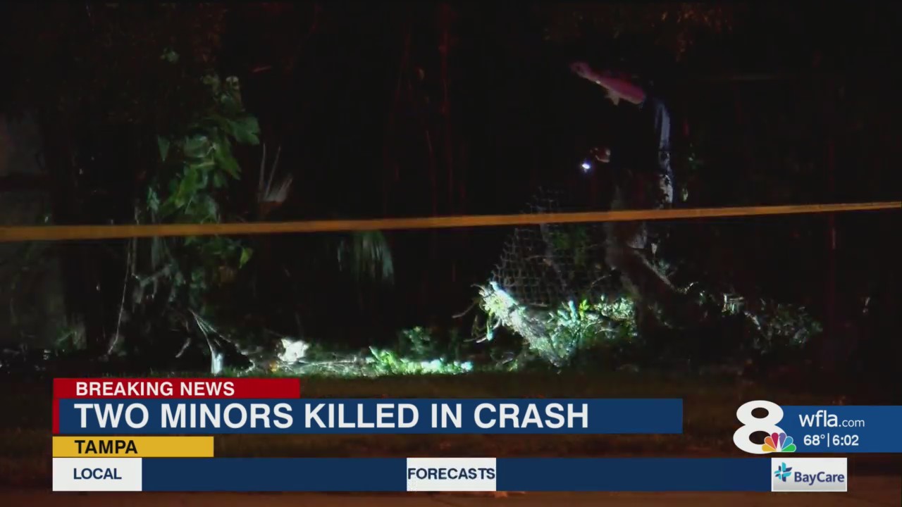 Two minors killed in Tampa crash – WFLA
