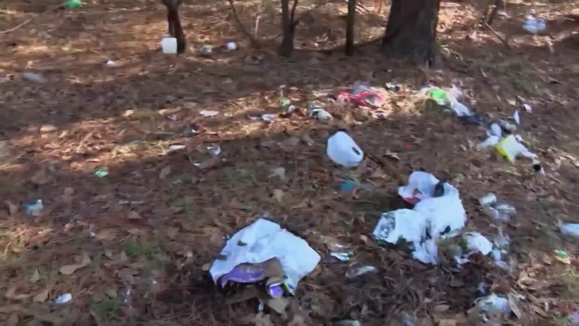 Lenoir County officials urge residents not to illegally dump trash WNCT
