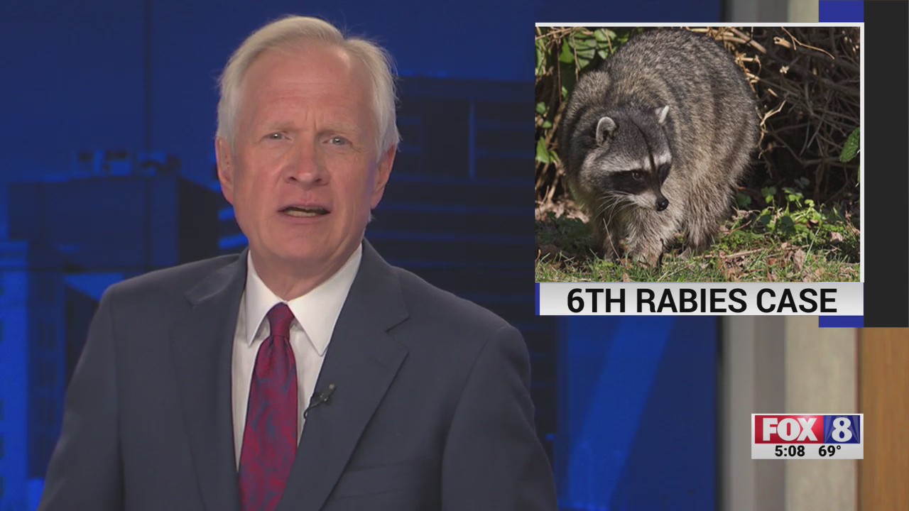 6th rabies case of 2023 confirmed in Guilford County – FOX8 WGHP