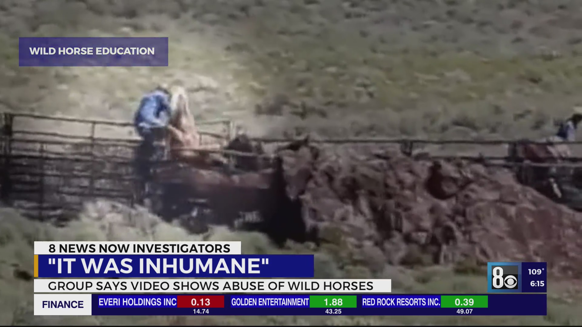 Sam Morley ‘It was inhumane,’ Wild horse advocates call for end to government ...