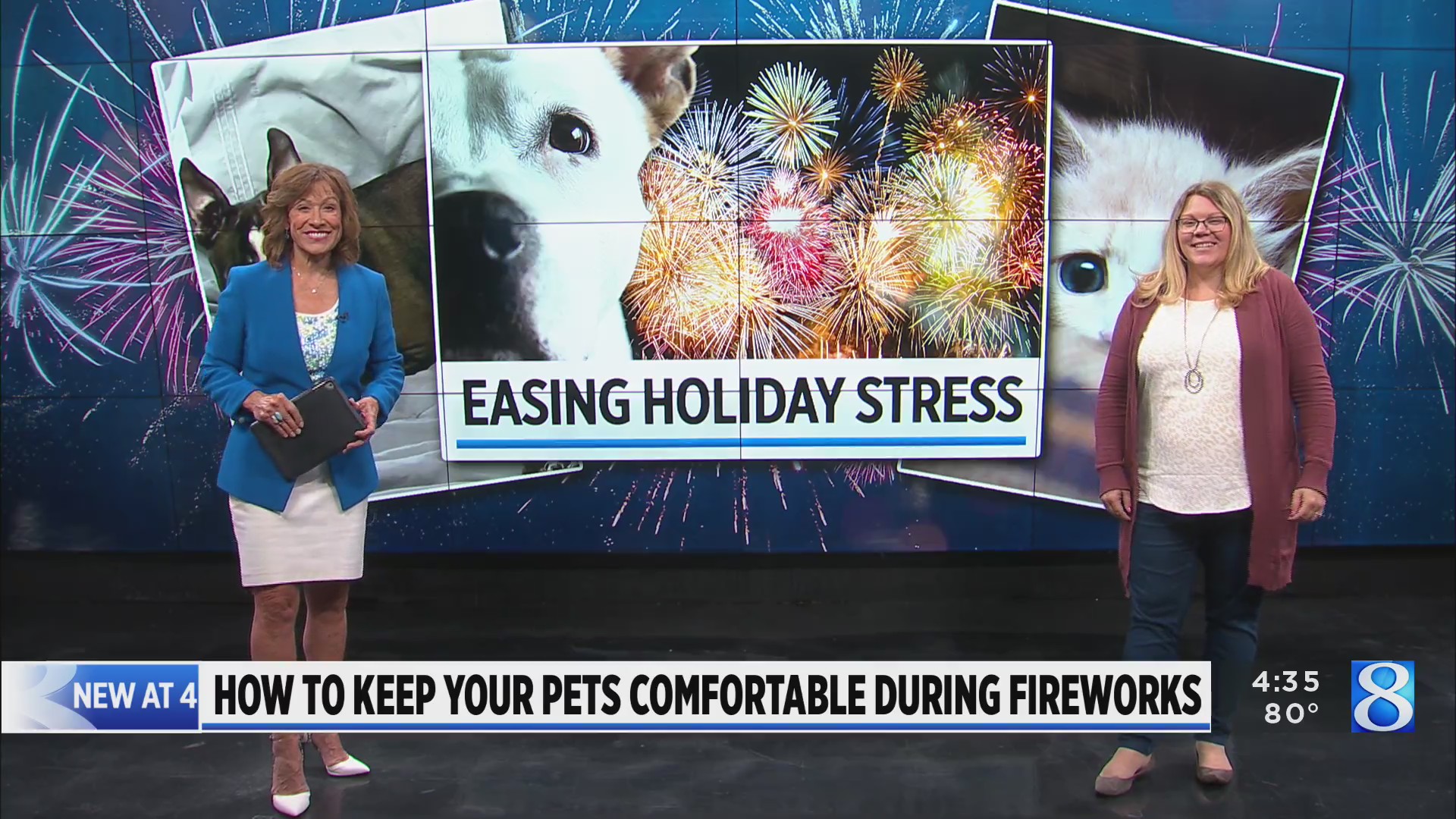 How to keep pets safe during 4th of July fireworks – WOODTV.com