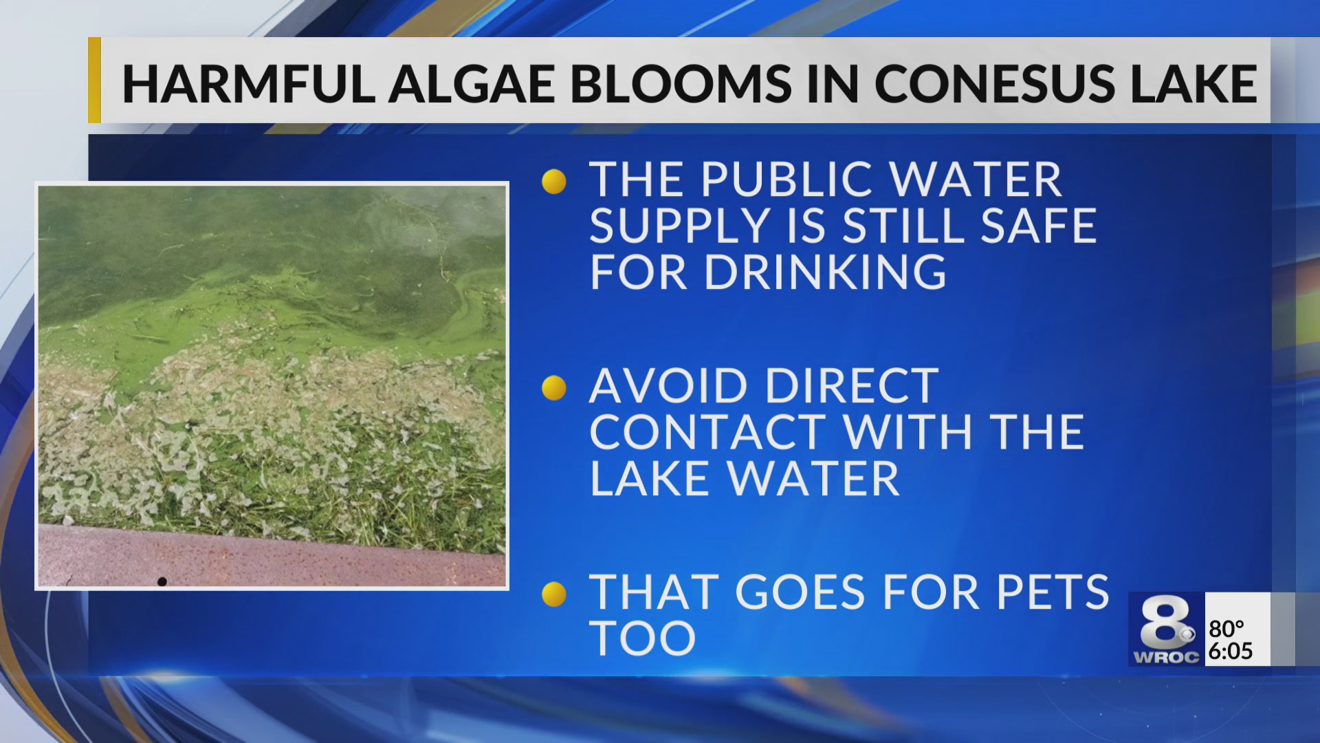 Harmful algal blooms detected at Conesus Lake RochesterFirst