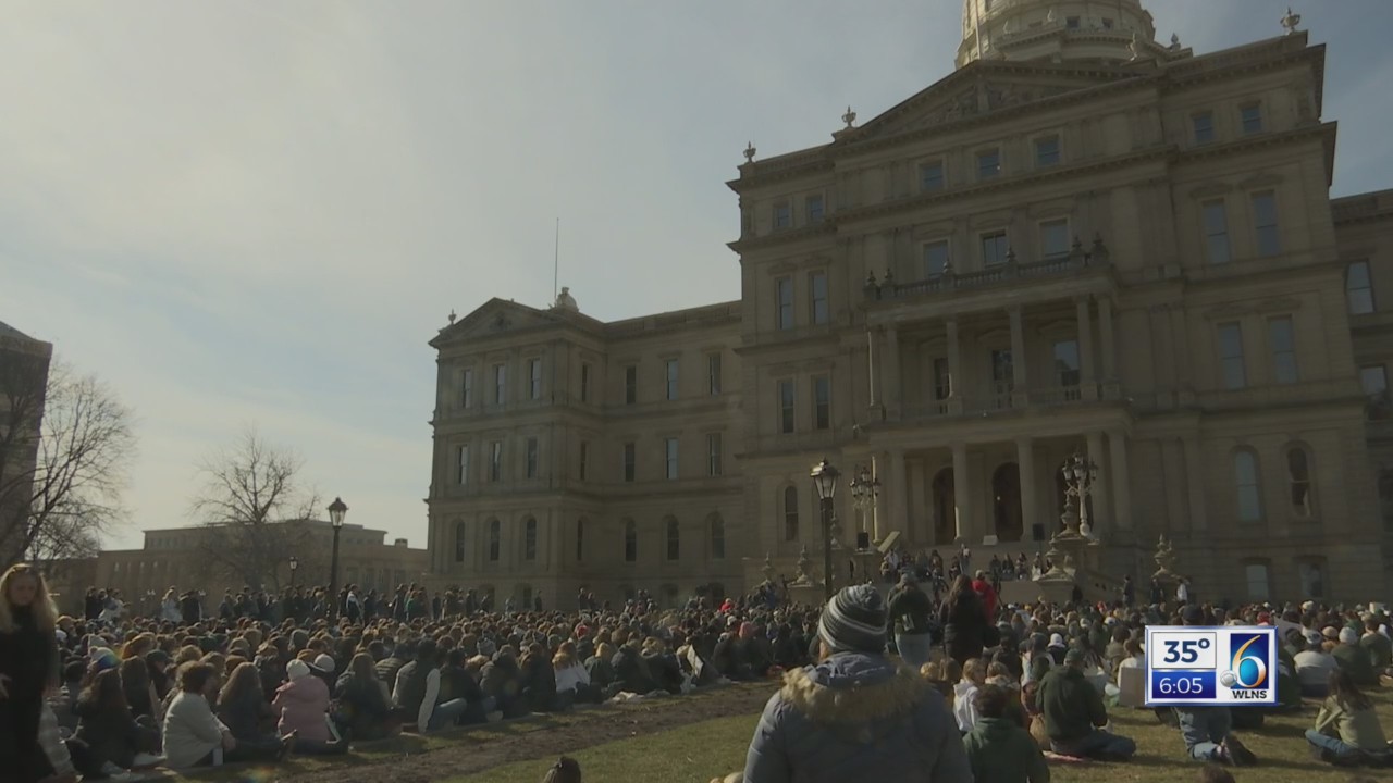 Skubick: Gun Lobby Recall – WLNS 6 News