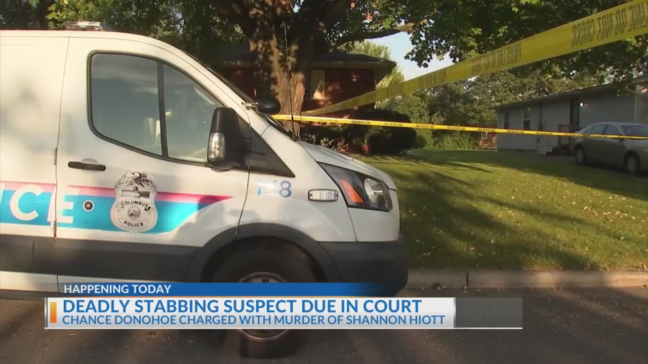 Deshler Park stabbing suspect due in court Wednesday NBC4 WCMHTV