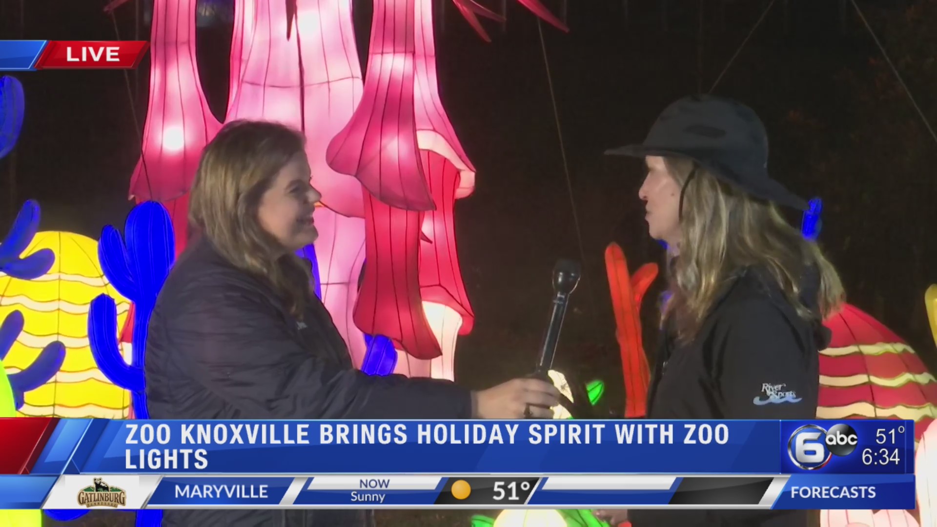 Zoo Knoxville brings holiday spirit with ‘Zoo Lights’ WATE 6 On Your Side