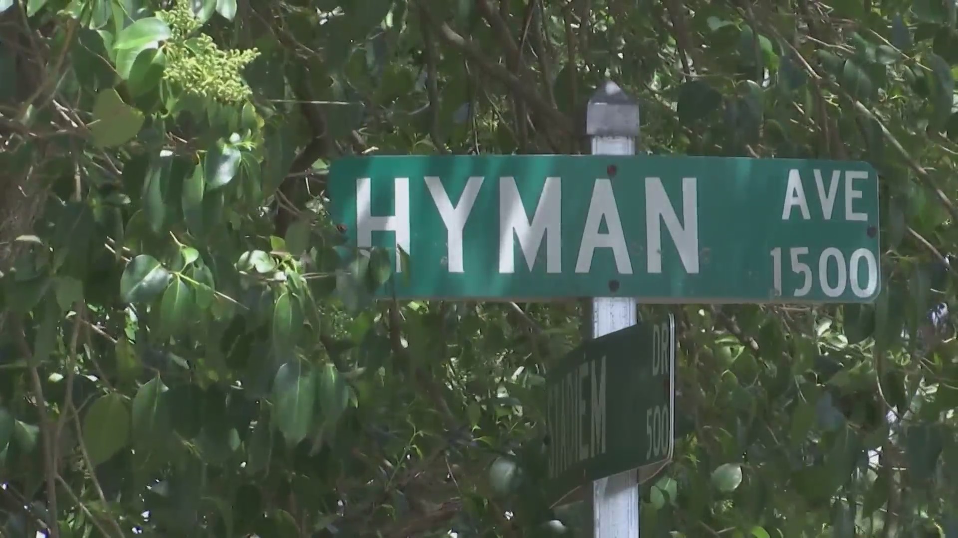 Kinston police arrest, charge 17yearold in teen’s death WNCT