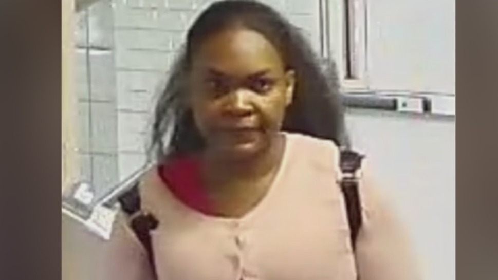 Woman stabbed to death inside Midtown women’s shelter: NYPD – PIX11