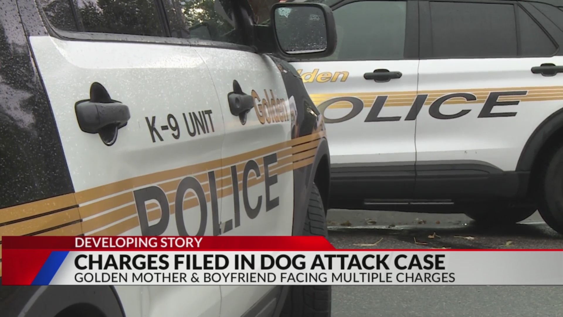 Dangerous dog charges filed against pit bull owners in deadly attack