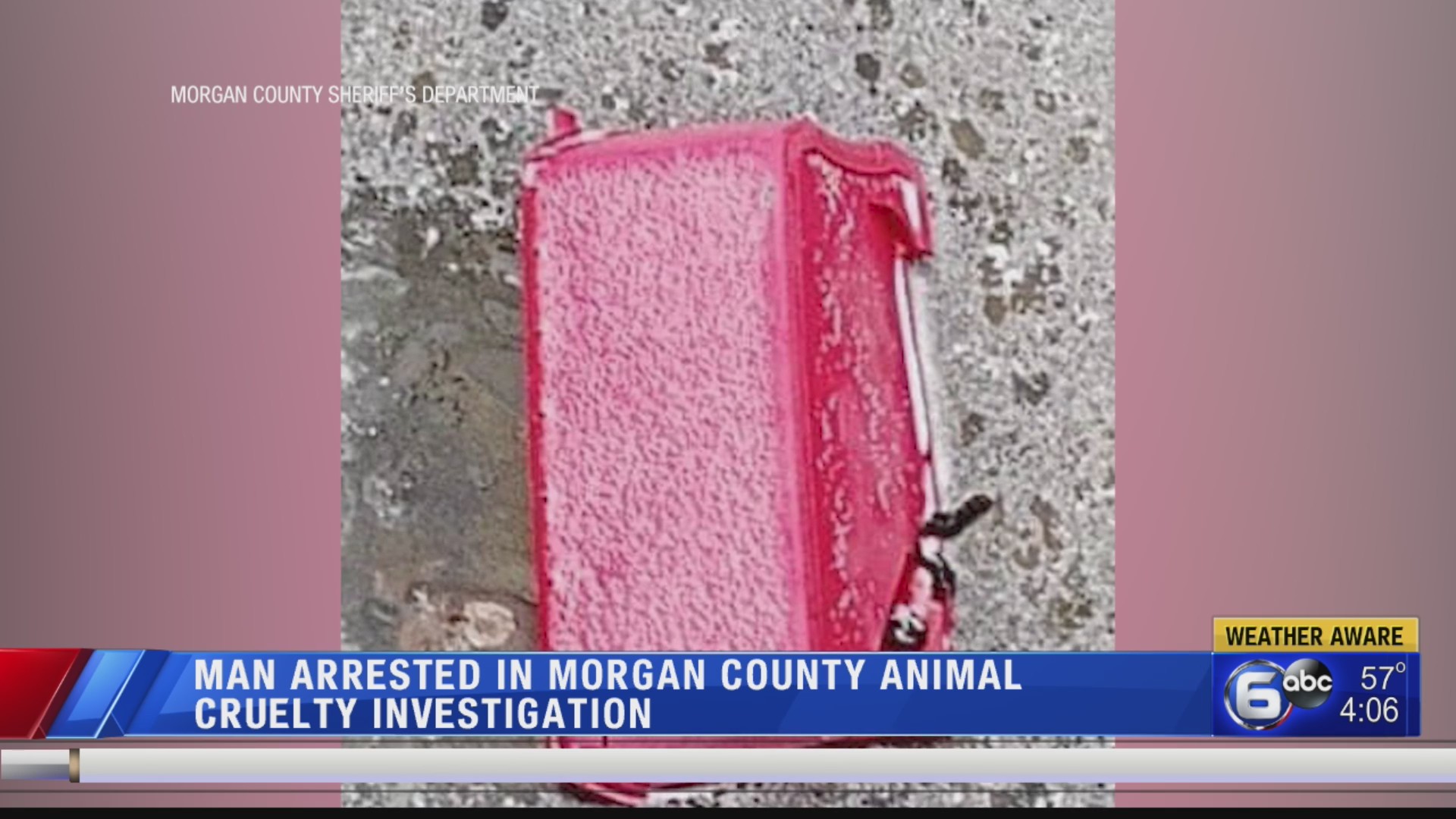 Man Arrested In Morgan County Animal Cruelty Investigation WATE 6 On man-arrested-in-morgan-county-animal-cruelty-investigation-wate-6-on