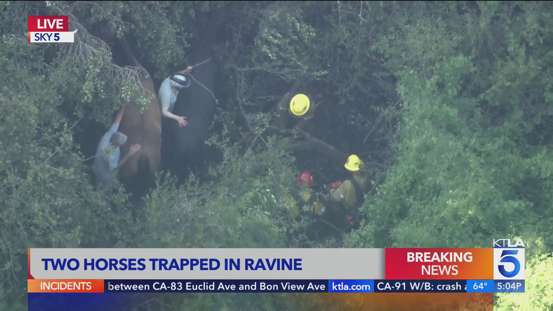 Crews rescuing horses trapped in Palos Verdes KTLA