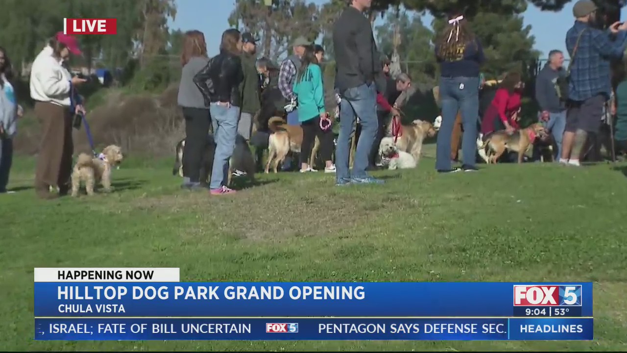 Hilltop Dog Park opens in Chula Vista – FOX 5 San Diego & KUSI News