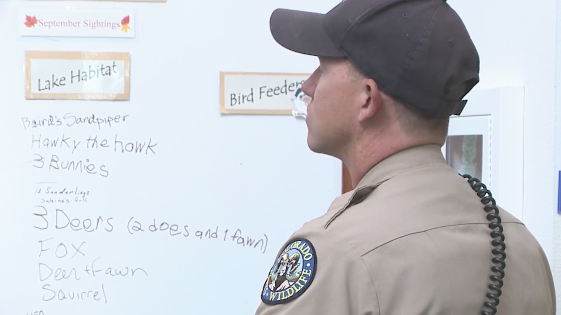 Colorado Parks and Wildlife hiring 40 rangers – FOX31 Denver