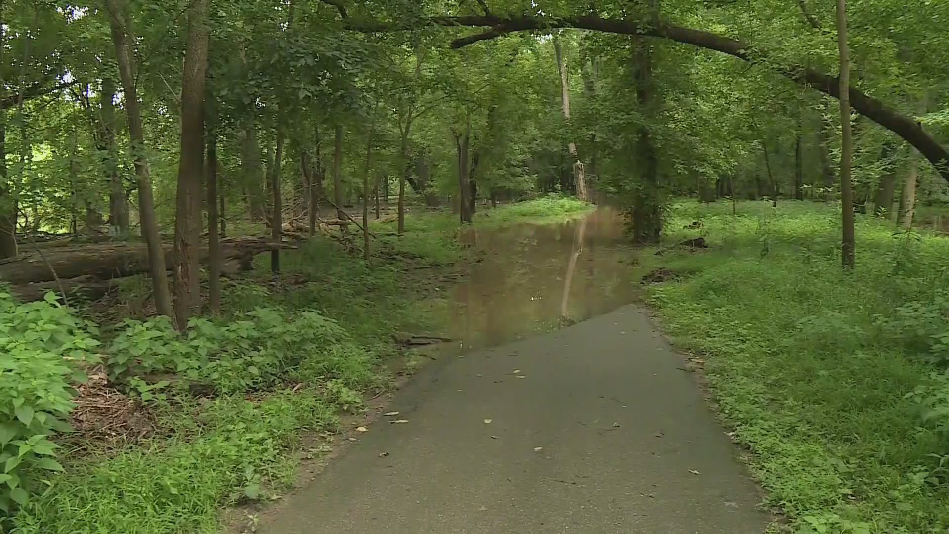 St. Louis-area parks prepare for weekend flood risks – FOX 2
