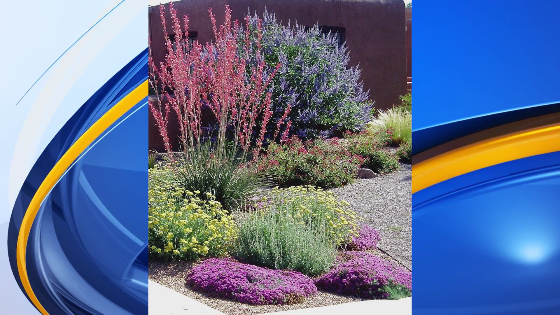 Water conservation rebates, tips from Albuquerque Bernalillo County