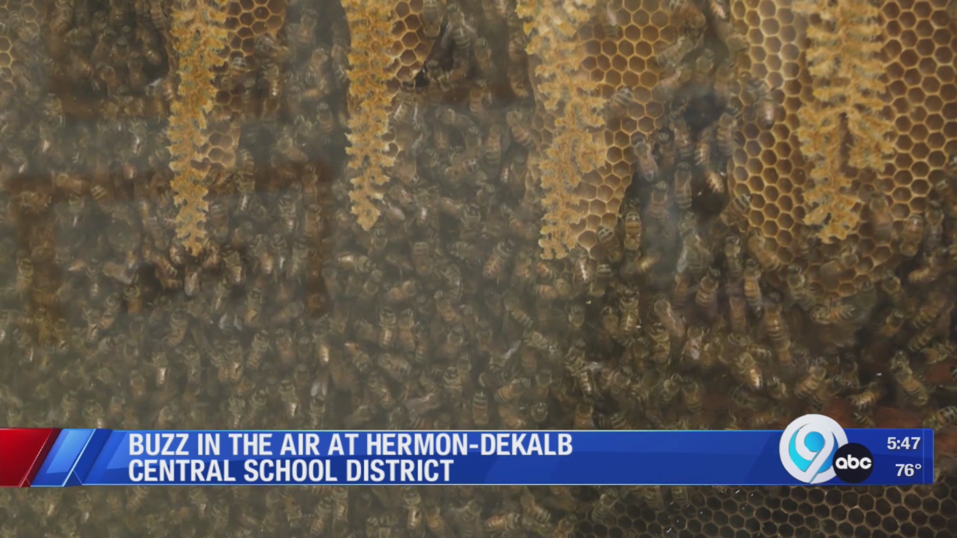 Buzz in the air at HermonDeKalb Central School District WSYR