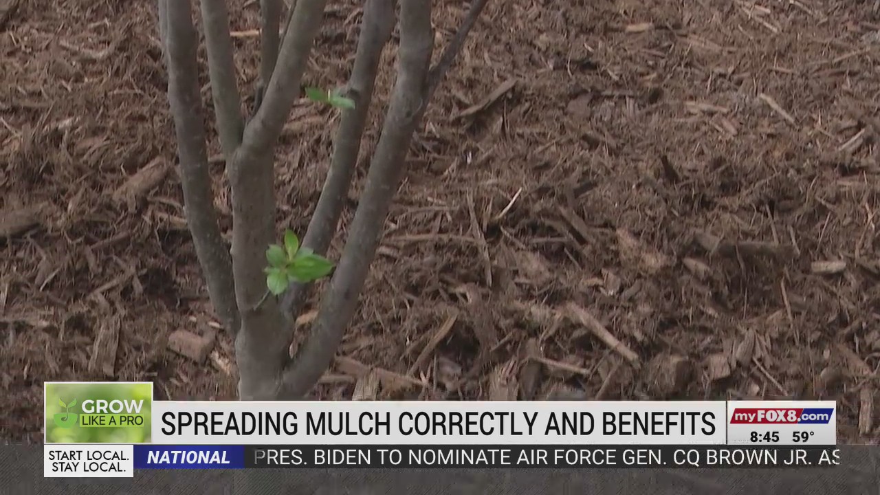 How to spread mulch correctly FOX8 WGHP