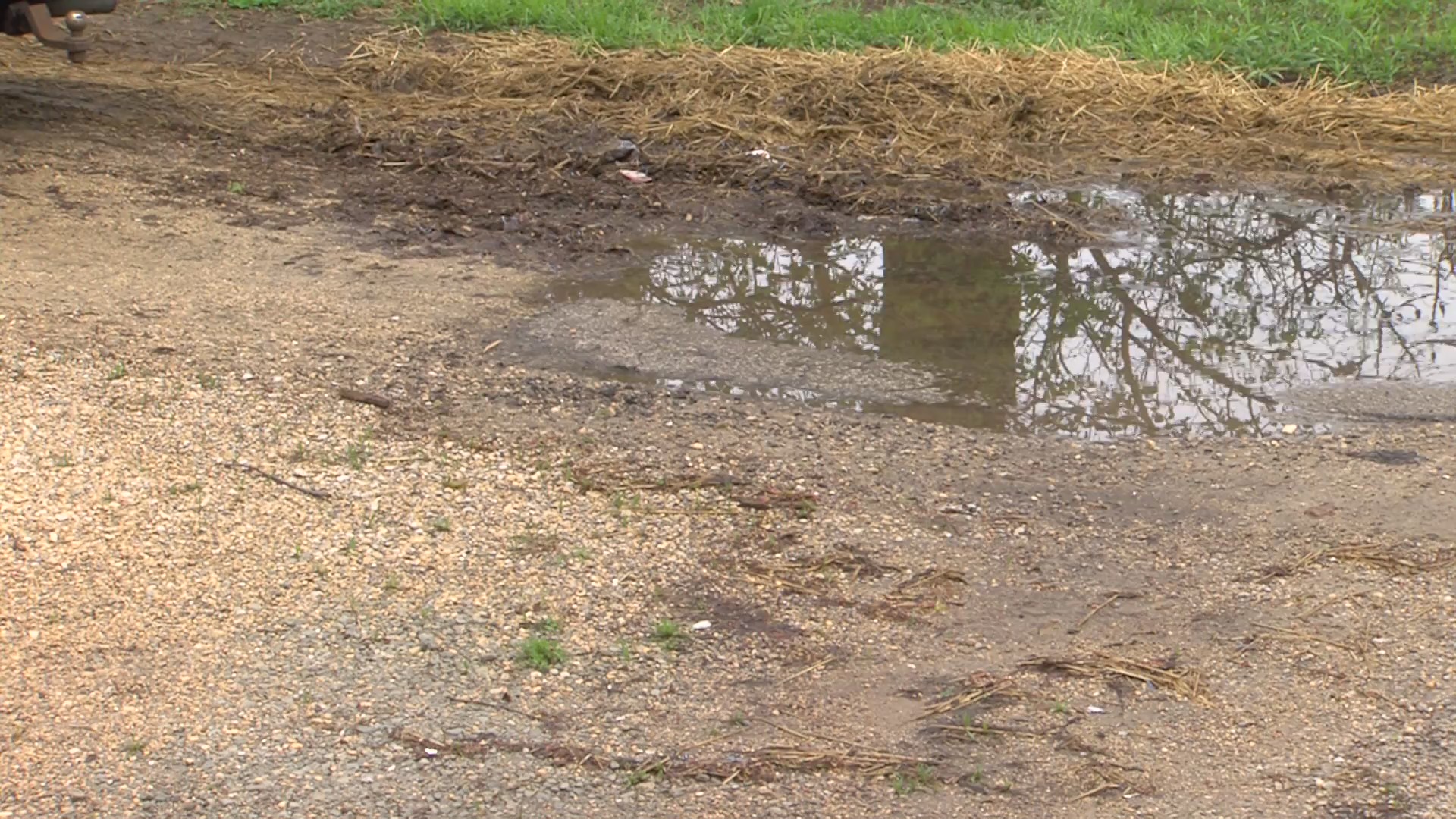 Rockford’s November 2024 gravel driveway deadline approved