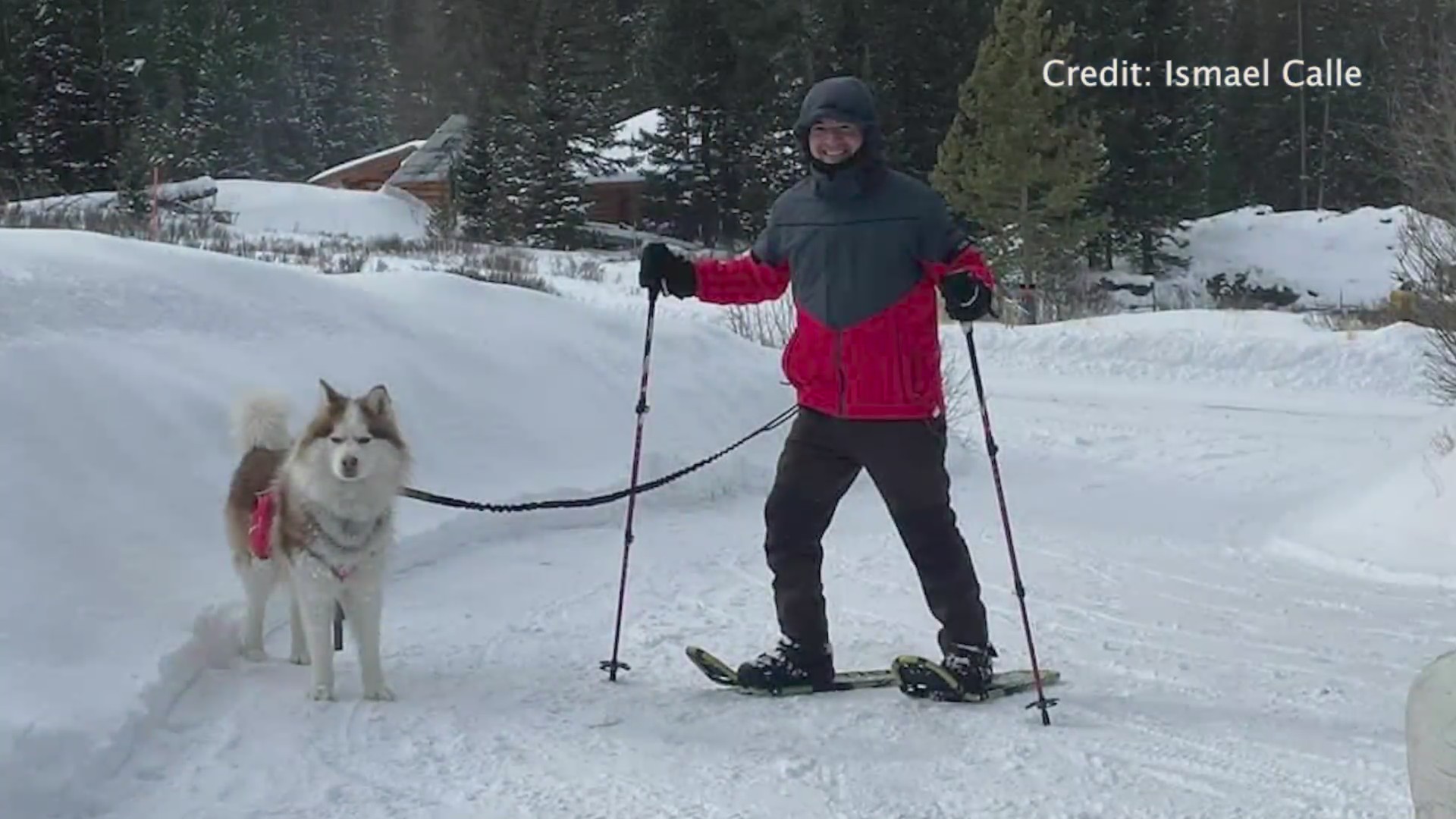 Man, dog narrowly escape avalanche in backcountry FOX31 Denver