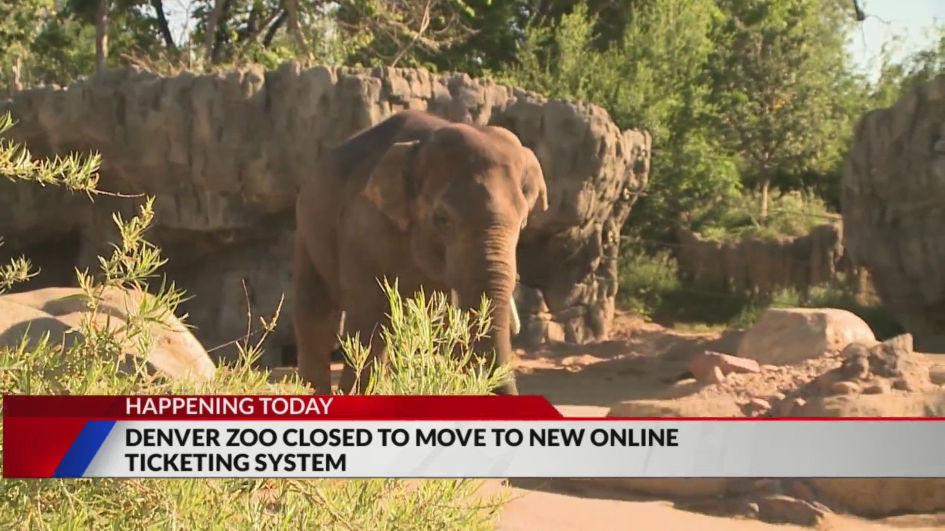Denver Zoo closed Tuesday to move to new ticketing system – FOX31 Denver