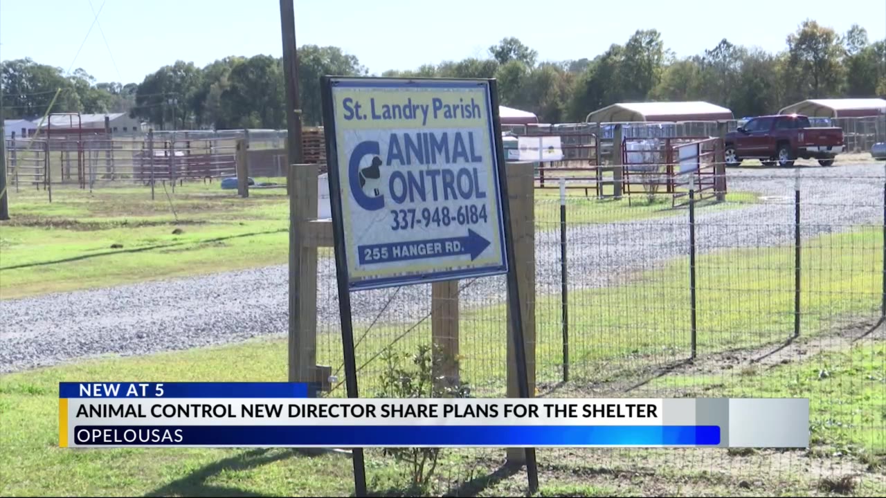 Animal control new director shares plans for the shelter