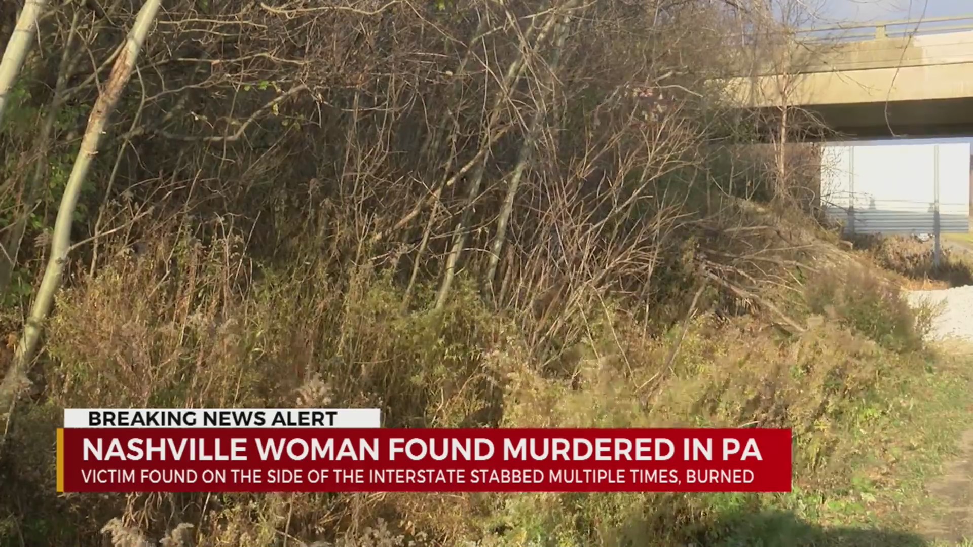 Nashville woman found murdered in Pennsylvania – WKRN News 2