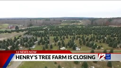 Henry’s Christmas Tree Farm closes after 60 years – WPRI.com