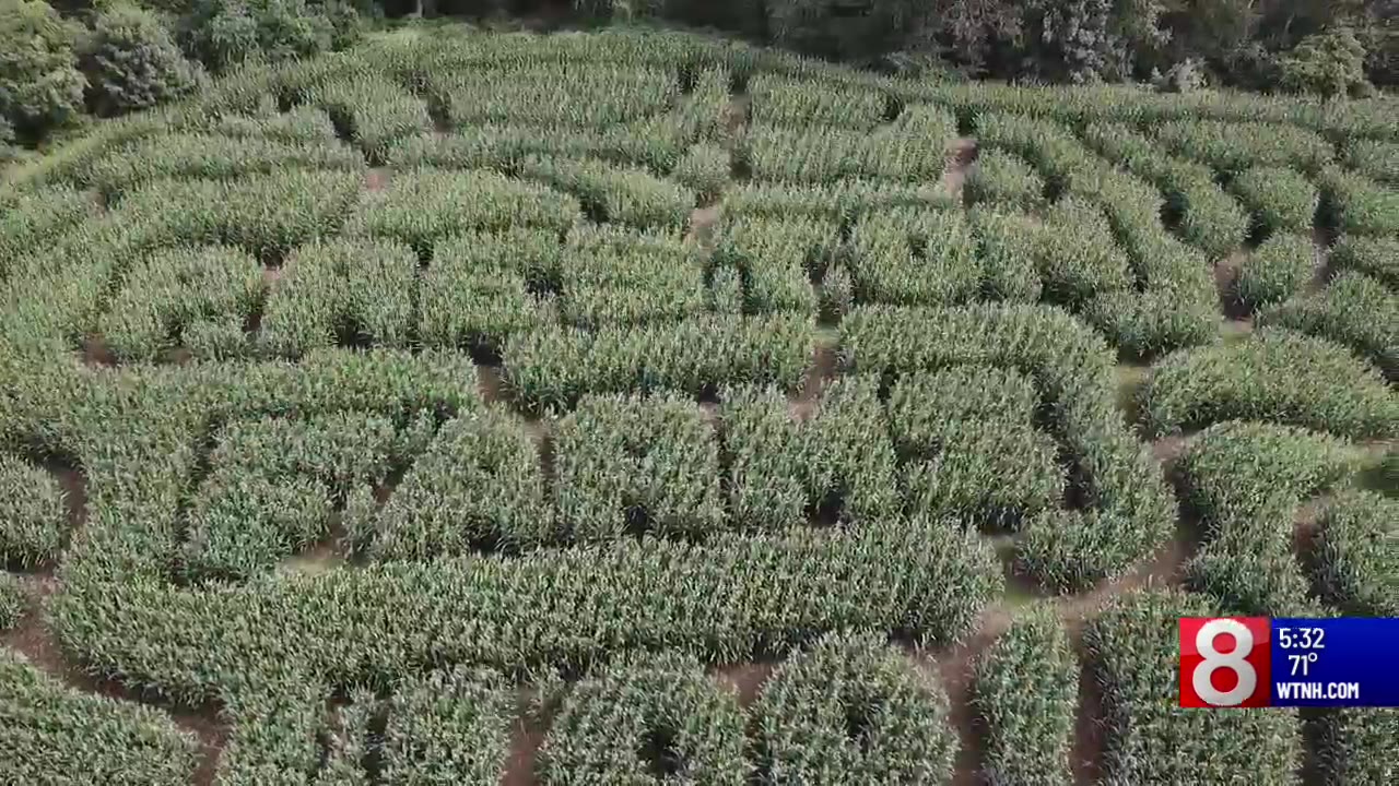 Preston Farms celebrates 100th anniversary with special corn maze