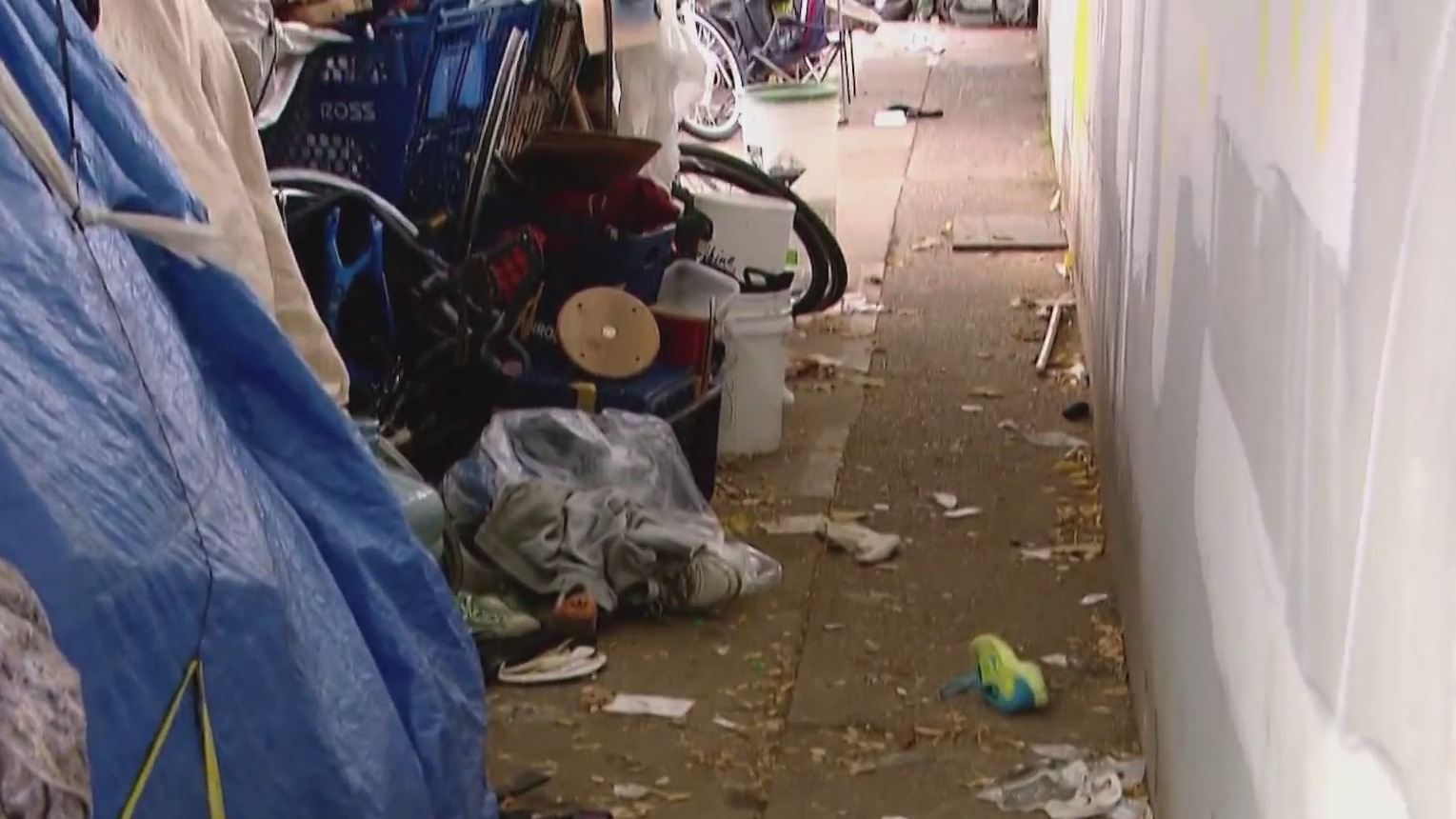 Portland State University addressing homelessness in the city – KOIN.com