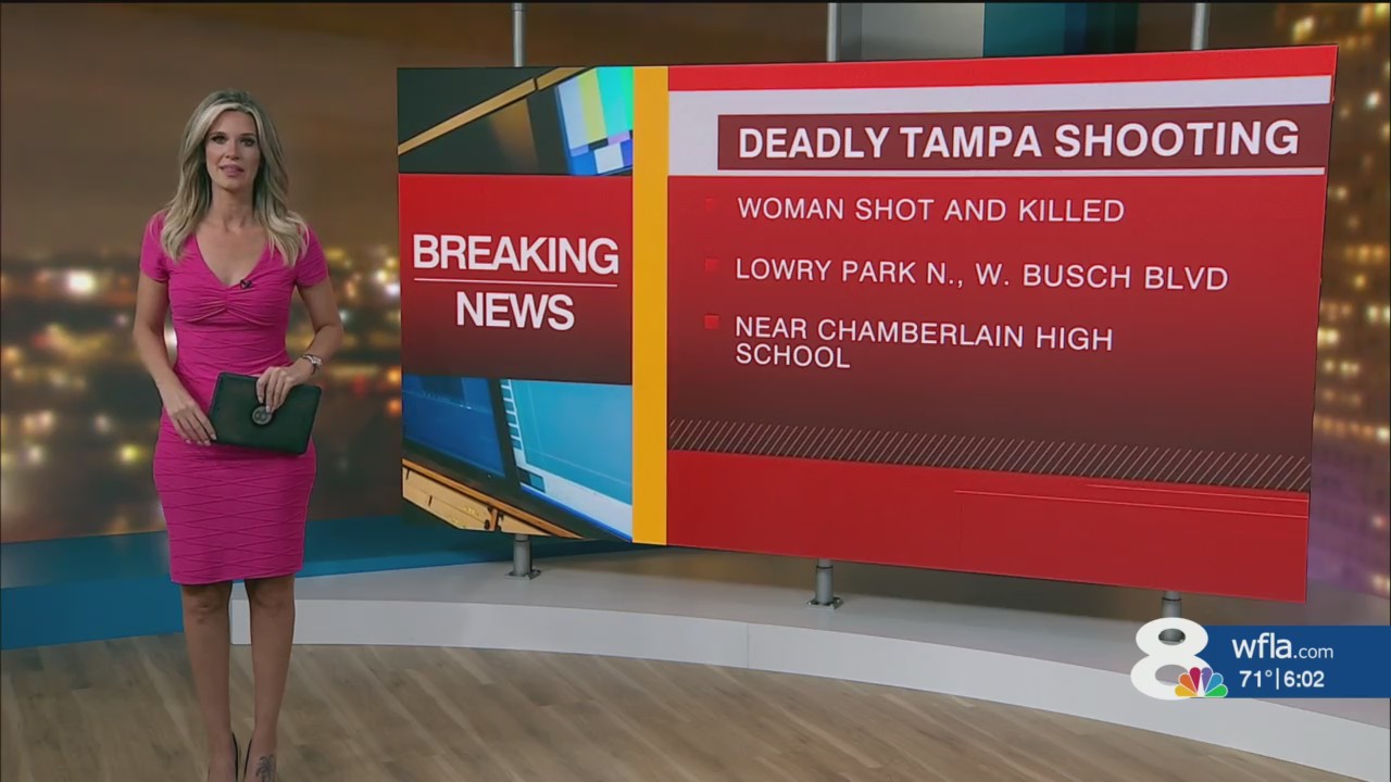 Woman killed in Tampa shooting crossfire, police say – WFLA