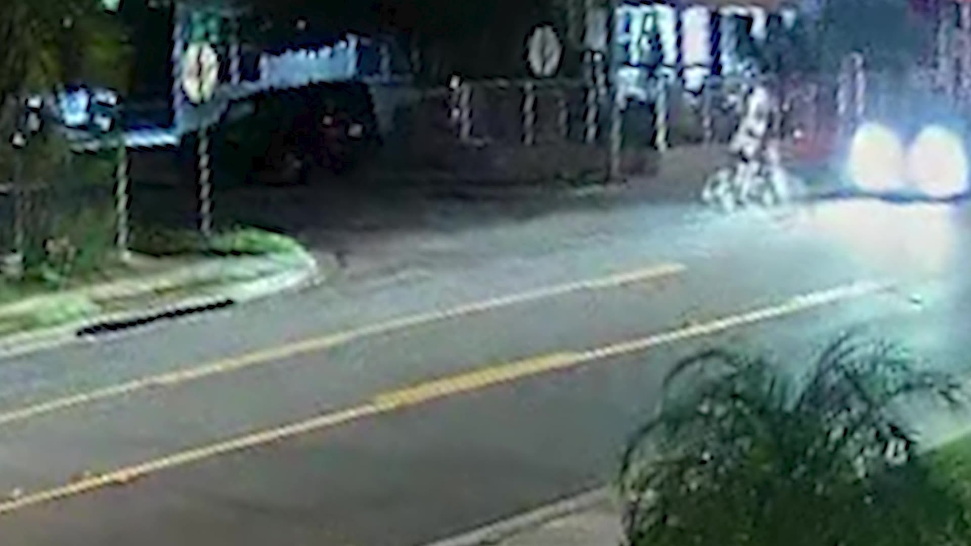 Tampa police search for driver who left bicyclist to die after crash – WFLA