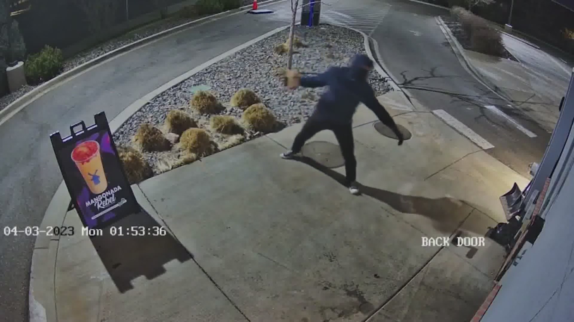 Thief caught on camera smashing rock into coffee shop – FOX31 Denver