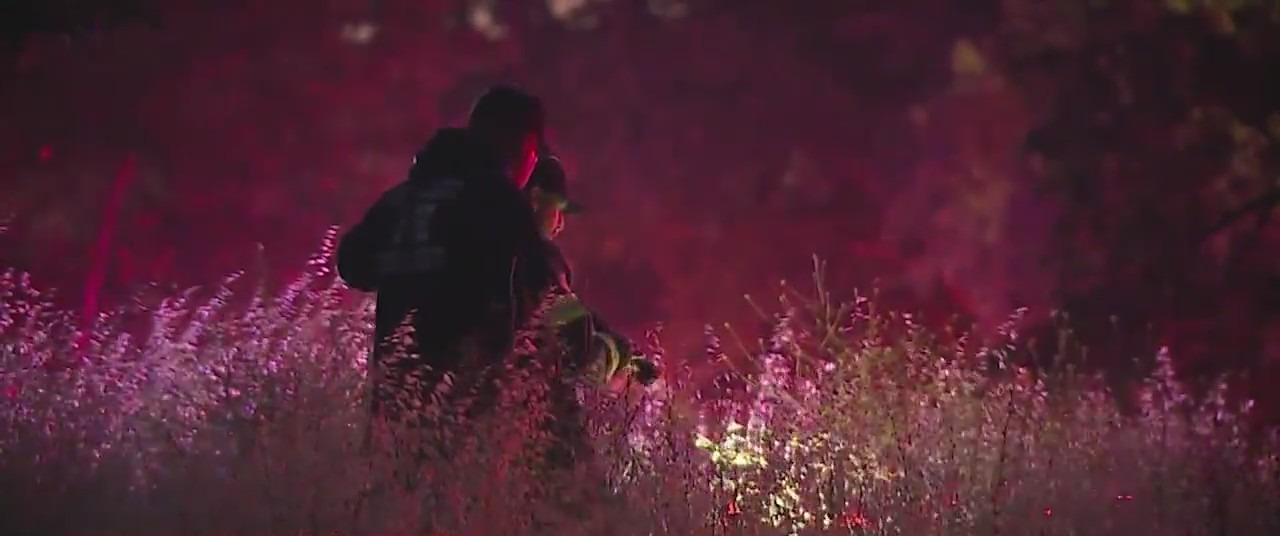 Woman arrested in connection with single-vehicle crash that killed two ...