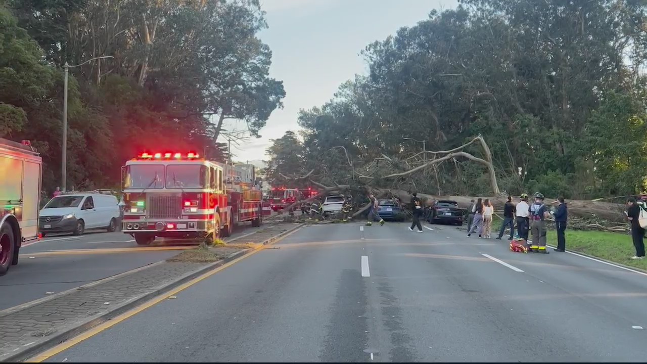 Fallen tree injures two in Golden Gate Park – KRON4