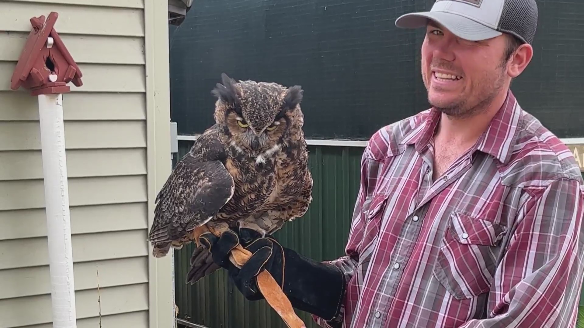 National Raptor Month: ‘Hoo’ Haven in Durand, Illinois showcases birds ...