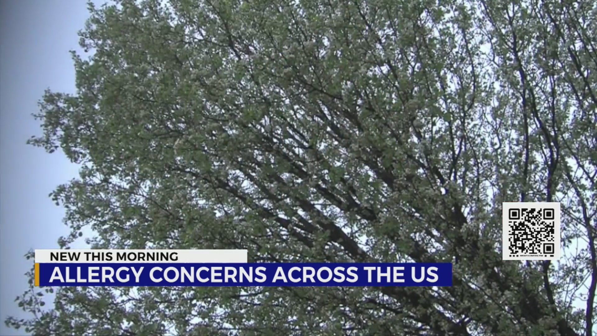 Allergy concerns in Middle Tennessee WKRN News 2