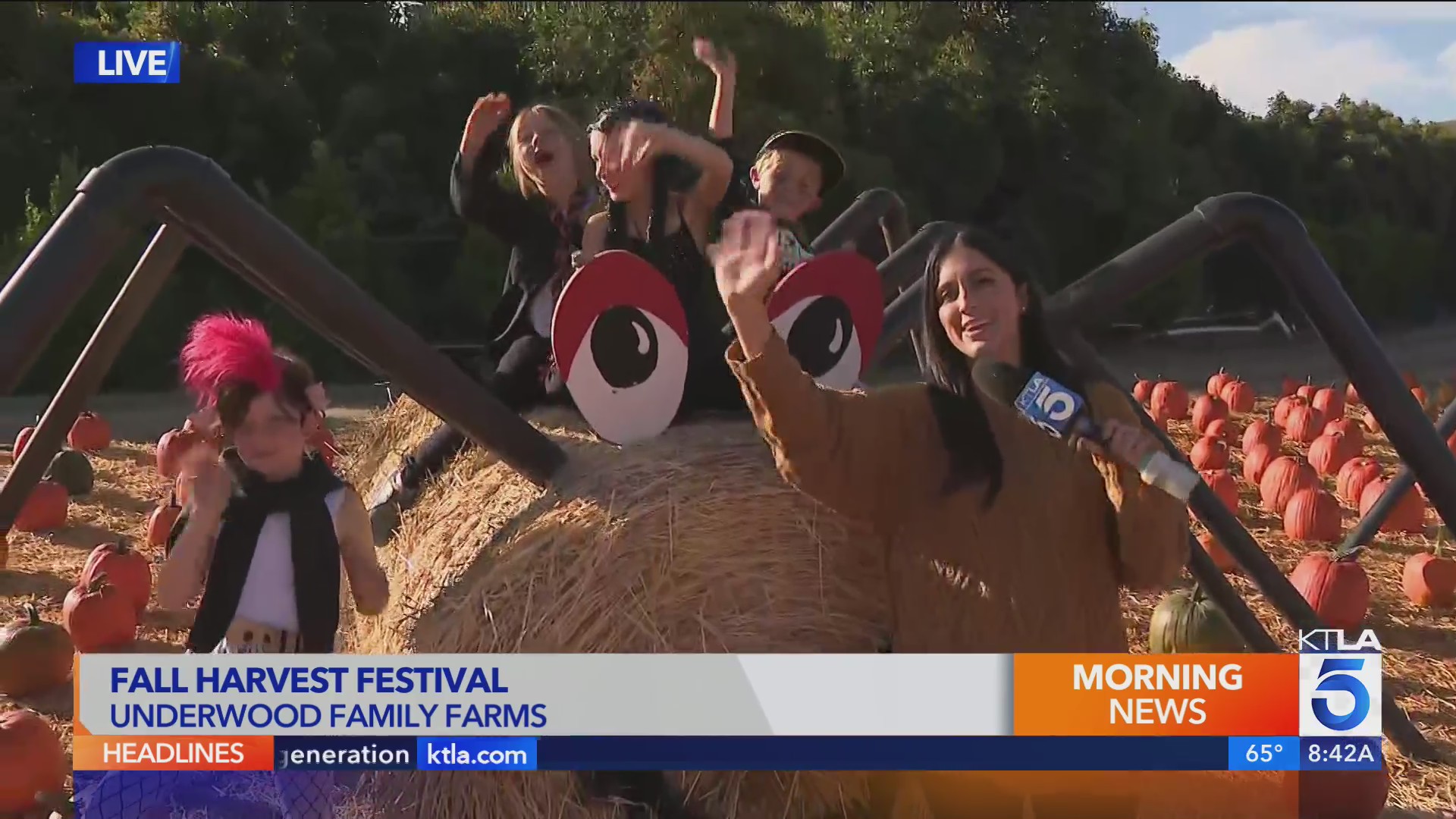 Underwood Family Farms kicks off its 26th Annual Fall Harvest Festival KTLA