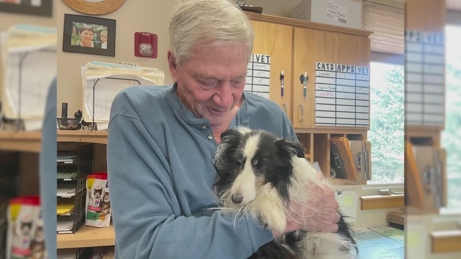 Dog missing for over 5 weeks found alive on remote mountain – FOX31 Denver