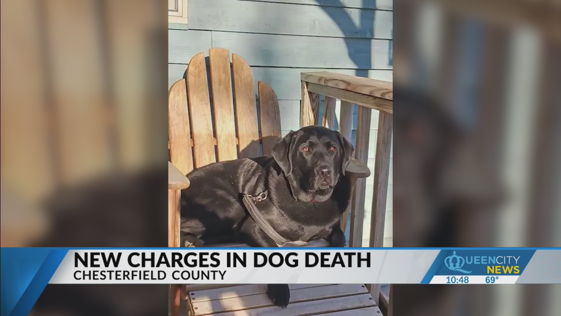 SC man lands felony charge from dog shooting – FOX8 WGHP