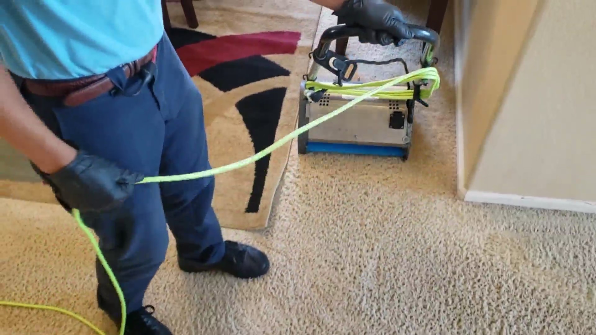 Zerorez FOX31 Denver