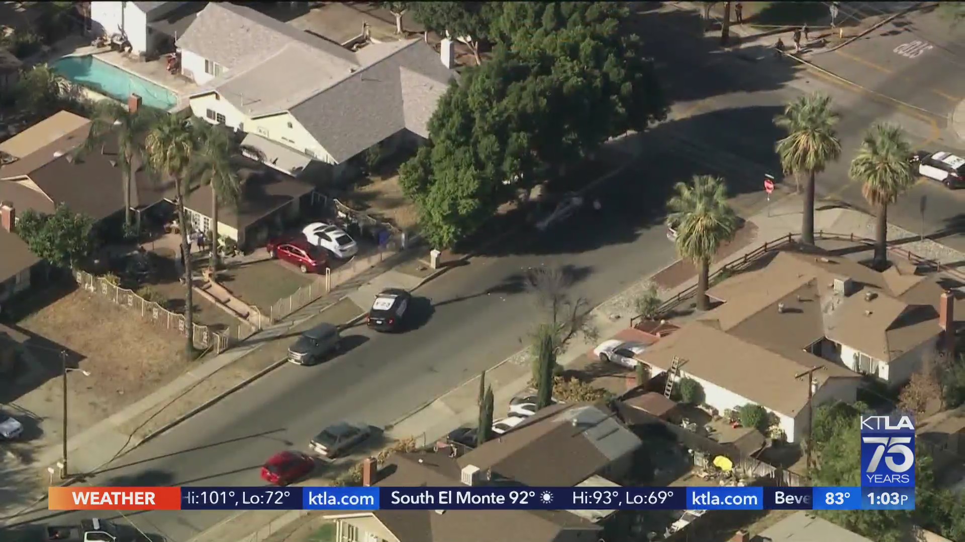Suspect identified in deadly domestic violence shooting – KTLA