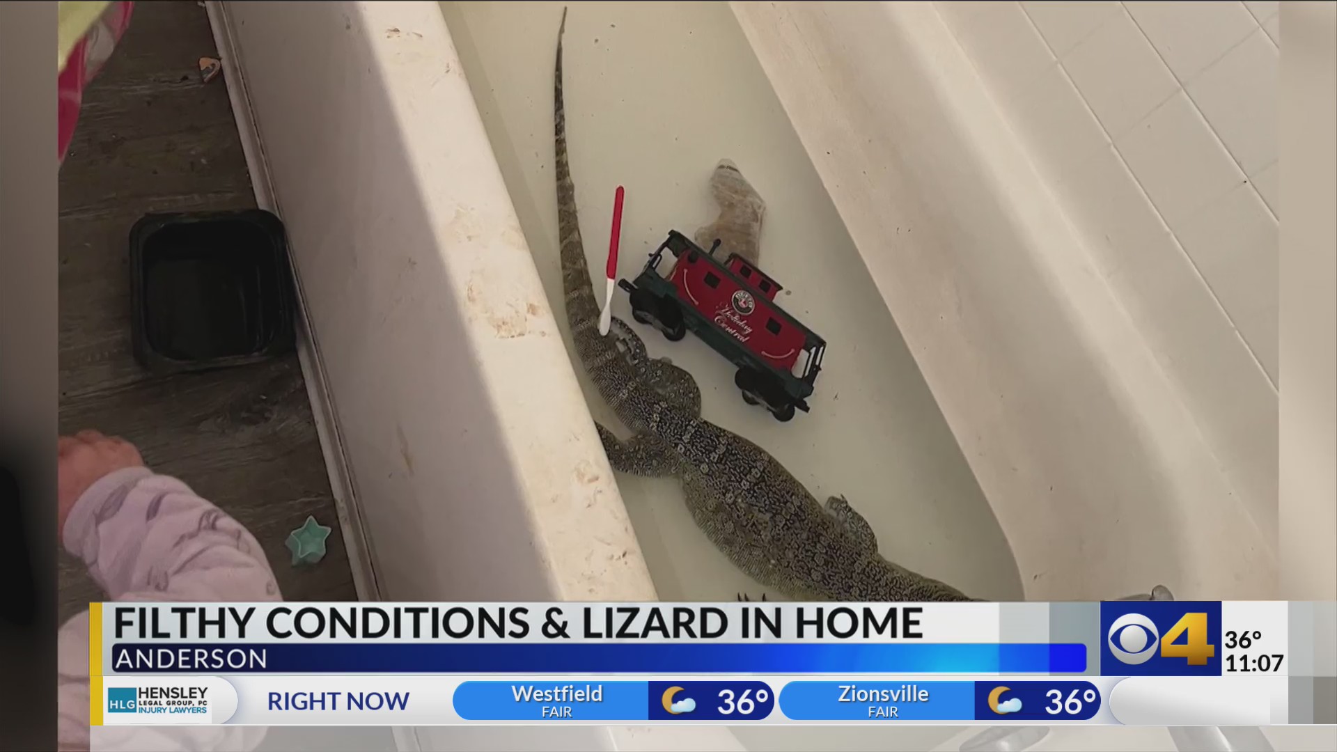Cops find large lizard in bathtub and children living in filth; parents ...