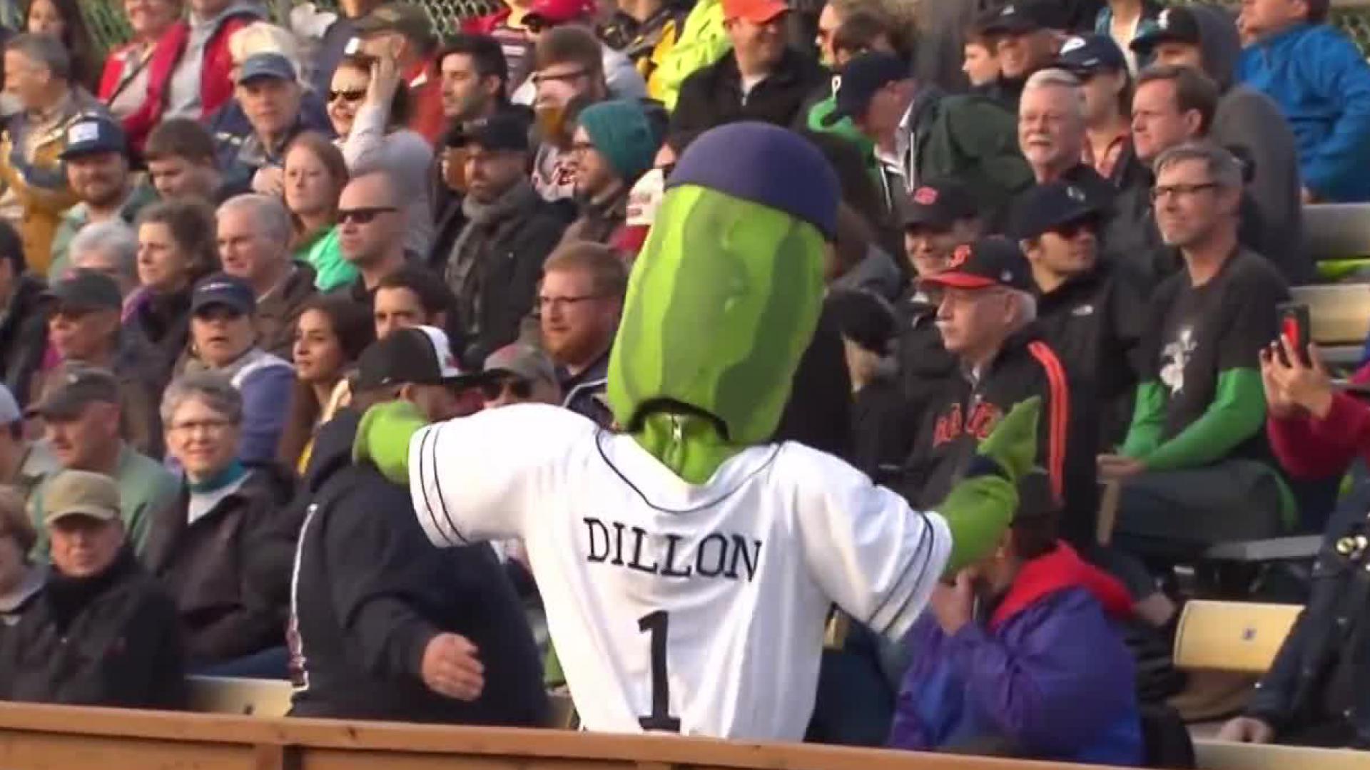 ‘Picolas Cage Night’ coming to Pickles baseball