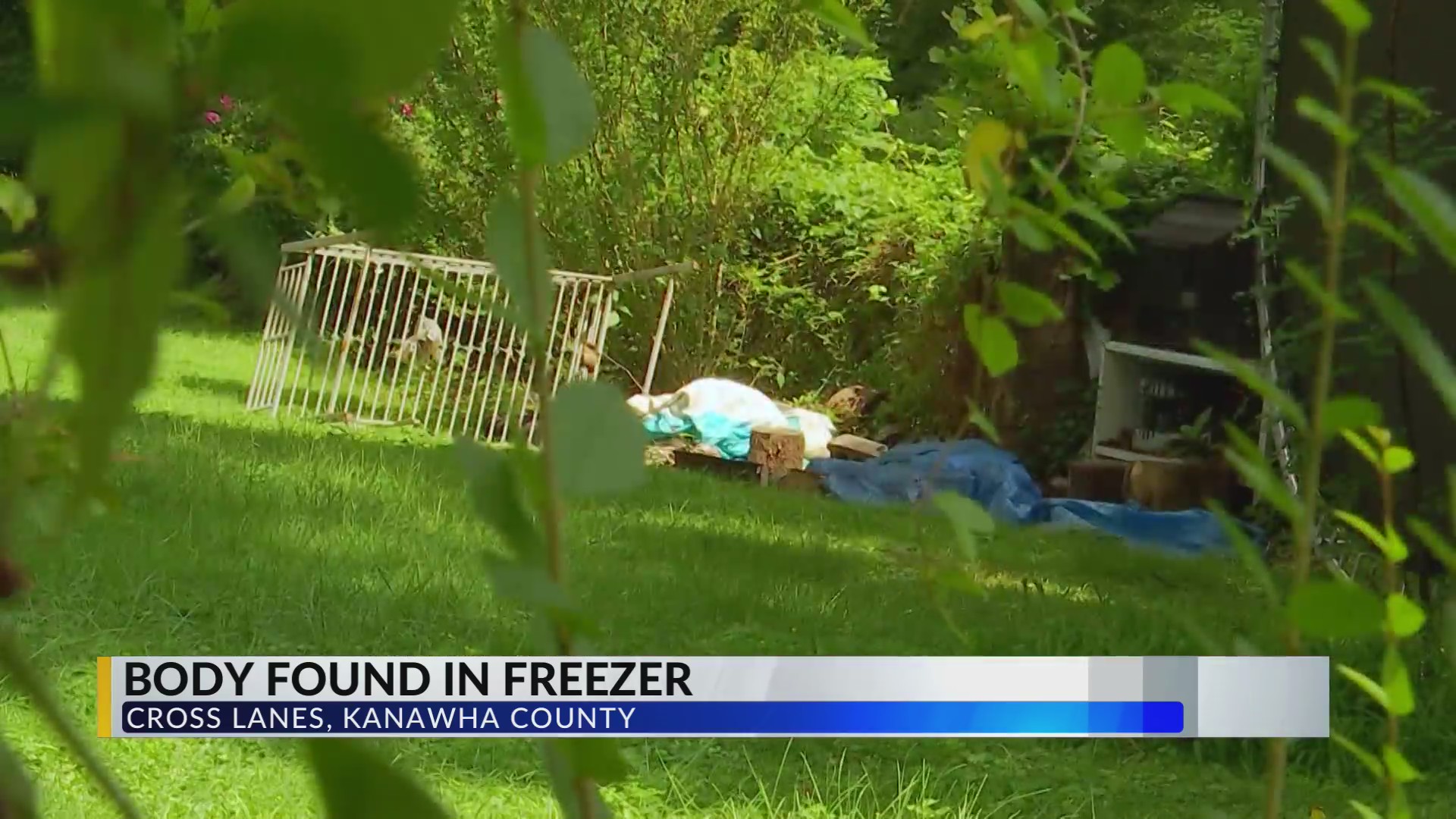 Trial of West Virginia man accused of murder, hiding body in freezer ...