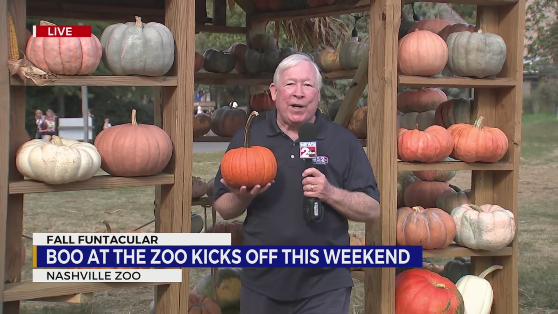 Fall Funtacular: Nashville Zoo’s Boo at the Zoo kicks off for 2023 ...