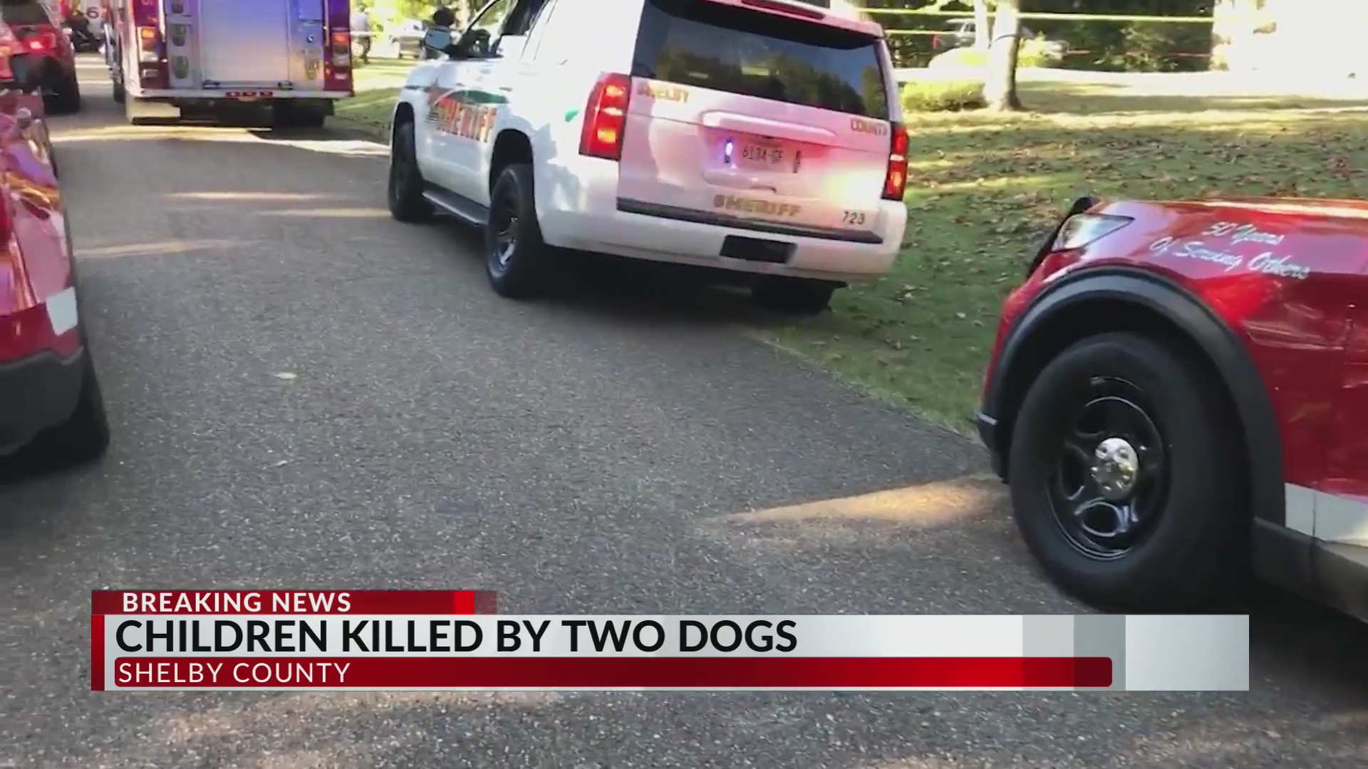 Children dead, mother injured after dog attack: SCSO – WKRN News 2